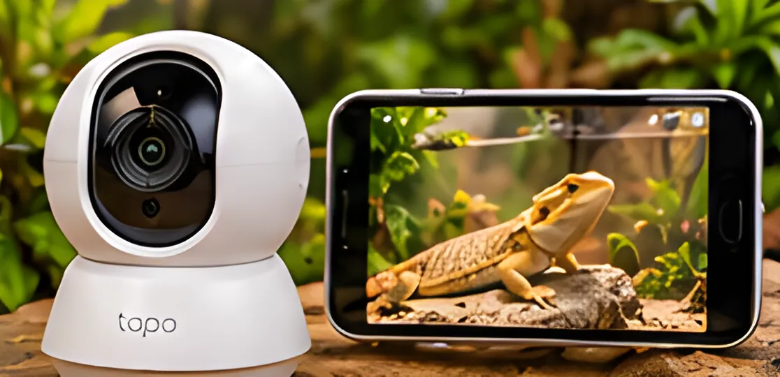 Enclosure cameras