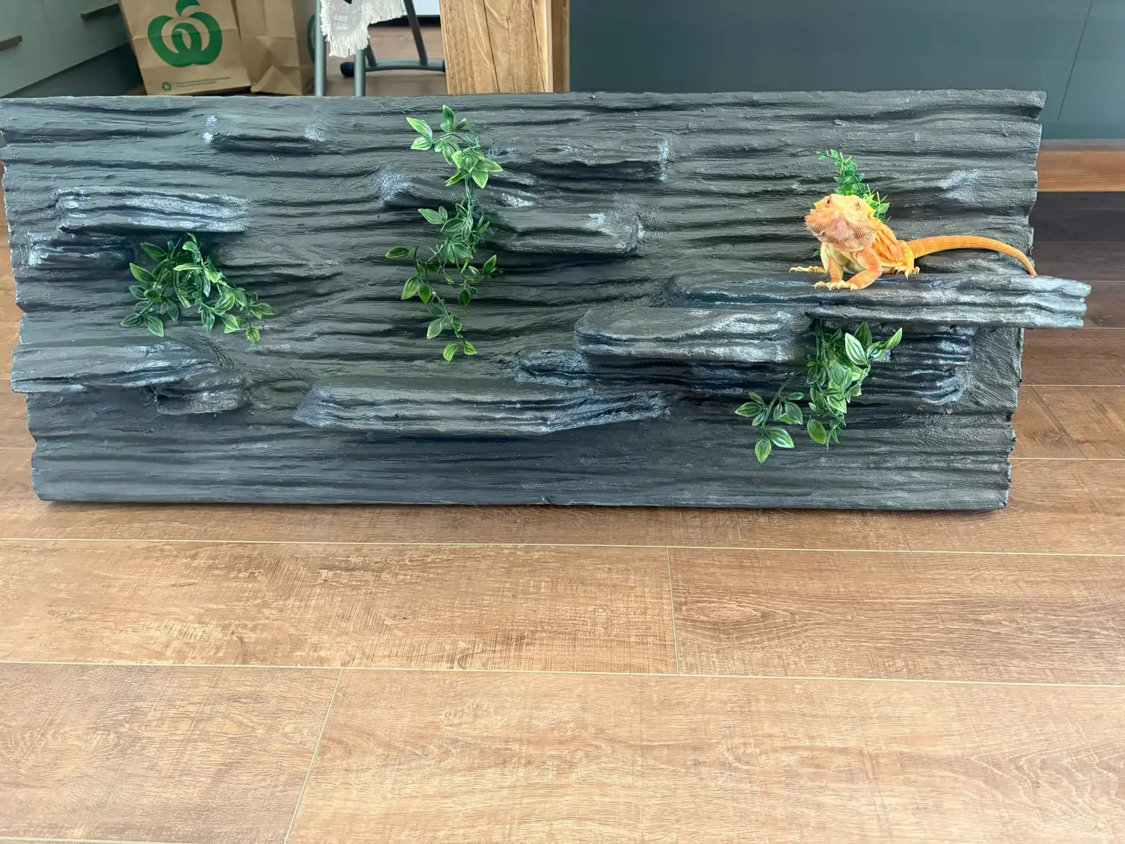 Bearded dragon enclosure backdrop made by Oddball Animal Works