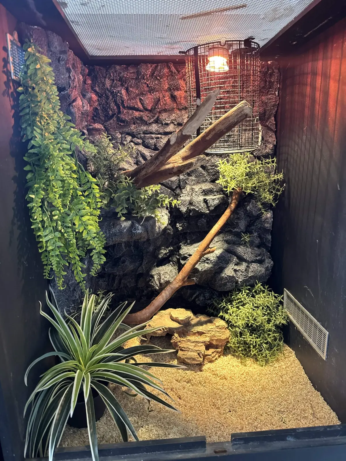 Children’s python enclosure with a layered rock backdrop made by Oddball