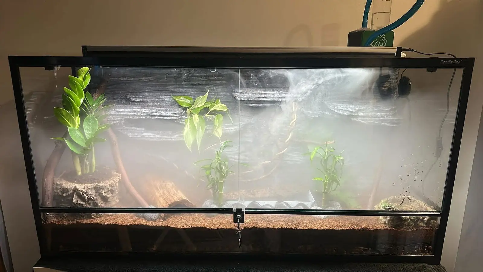 Oddball-made waterfall backdrop running inside a frog enclosure